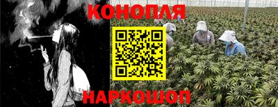 индика Балаково
