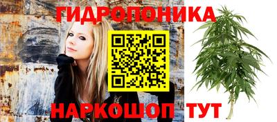 ECSTASY Балашиха