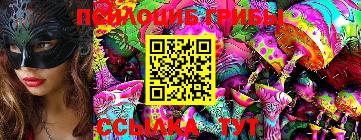 Псилоцибиновые грибы Cubensis  Вход с VPN  Псилоцибиновые грибы прущие грибы  где продают наркотики  Десногорск 
