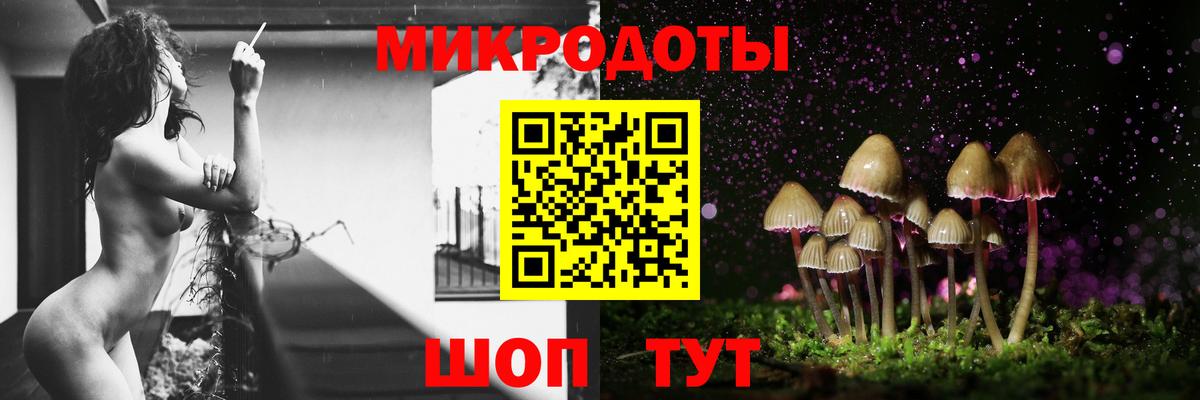Псилоцибиновые грибы Psilocybe Десногорск